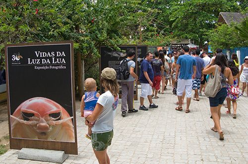 Exposio Vidas da Luz da Lua